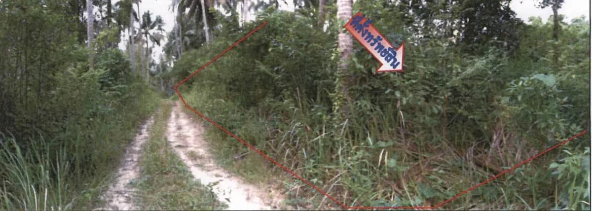 Auction Land Na Mueang 1914 sqm