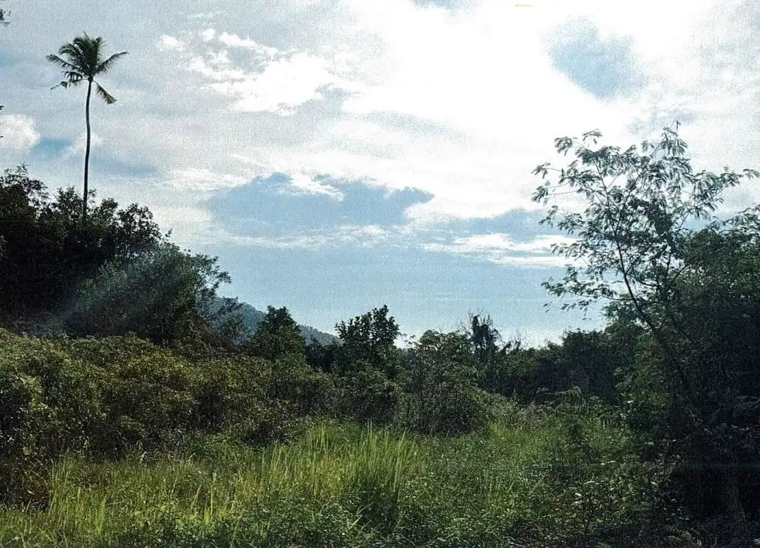 Auction Land Taling Ngam 6768 sqm
