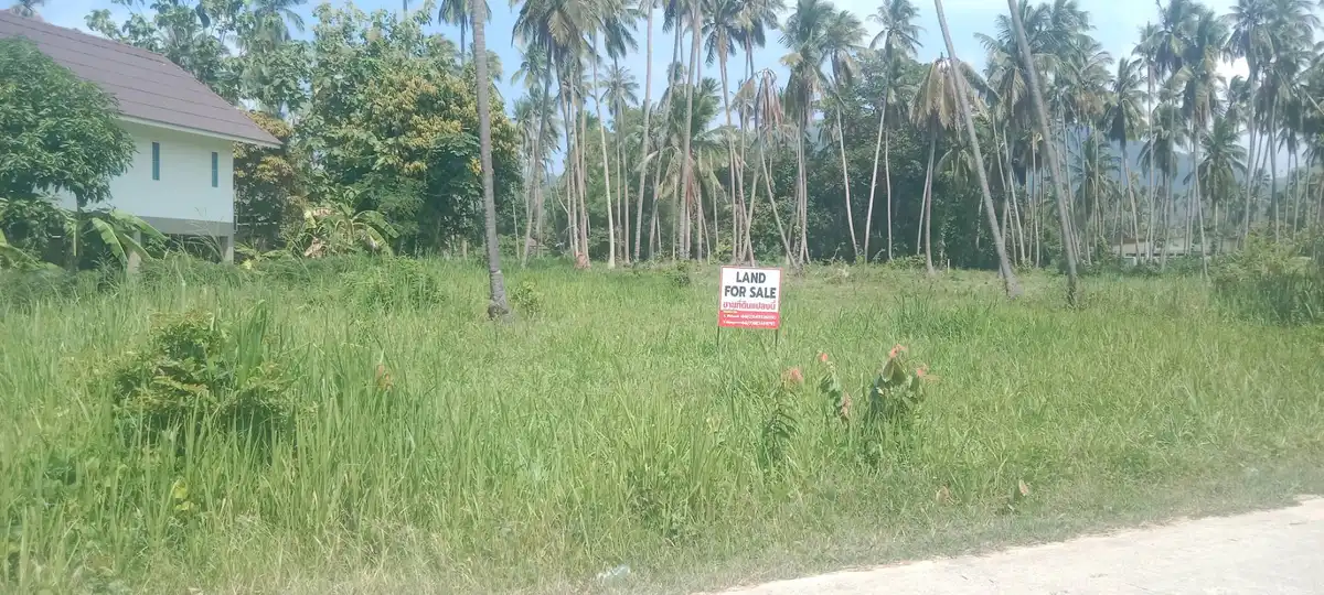 Sale Land 1600 sqm Na Mueang 9800000 Baht