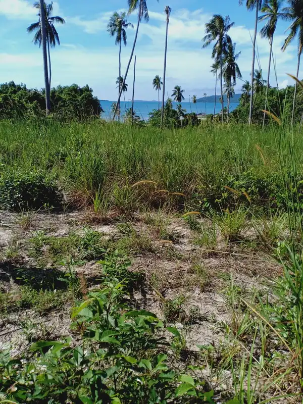 Sale Land 2400 sqm Taling Ngam 10500000 Baht