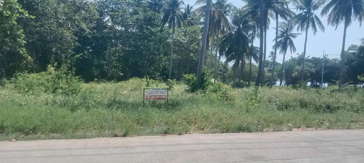 Sale Land 10400sqm Taling Ngam 58.5 million Baht