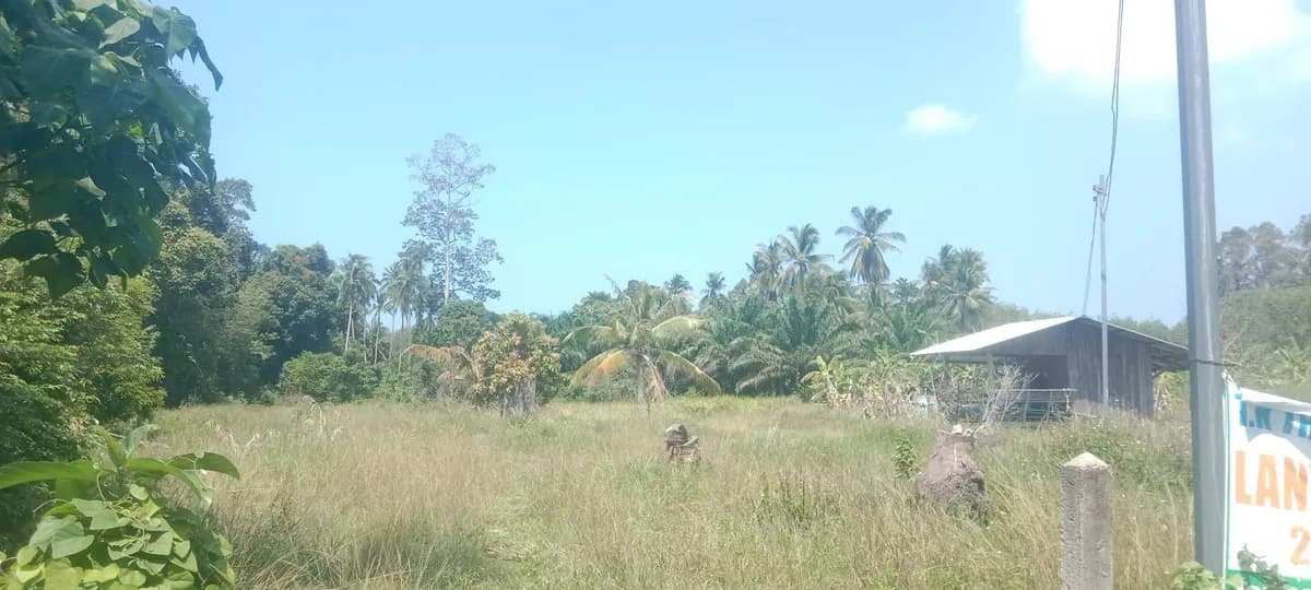 Sale Land 64000 sqm Taling Ngam 220 million Baht
