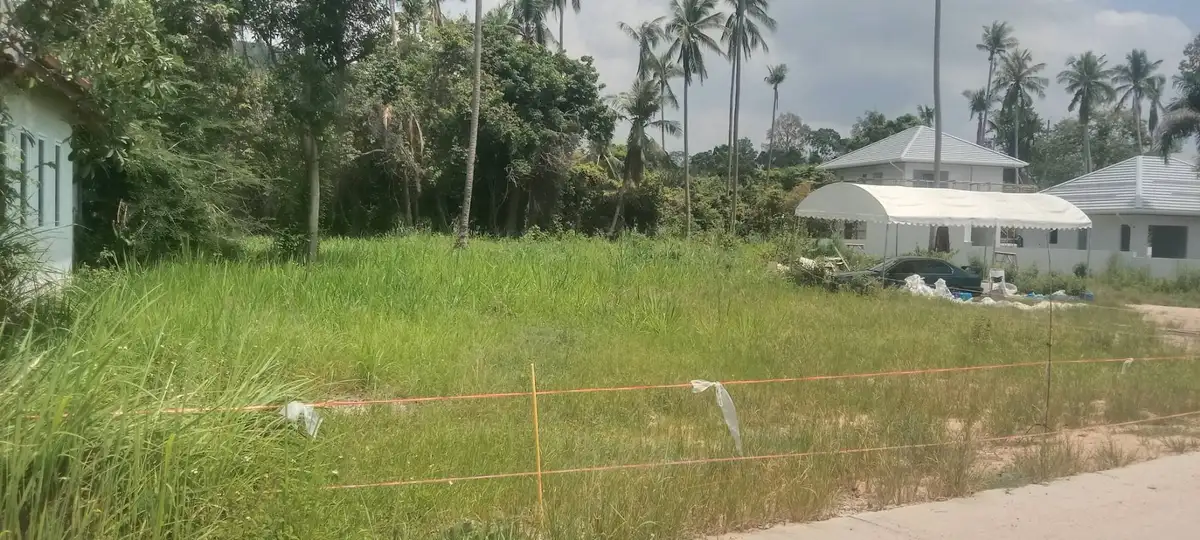 Sale Land 800 sqm Na Mueang 3000000 Baht