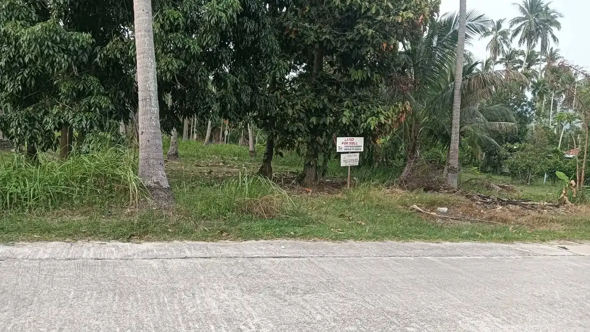 Sale Land 1600 sqm Na Mueang 4.5 million Baht