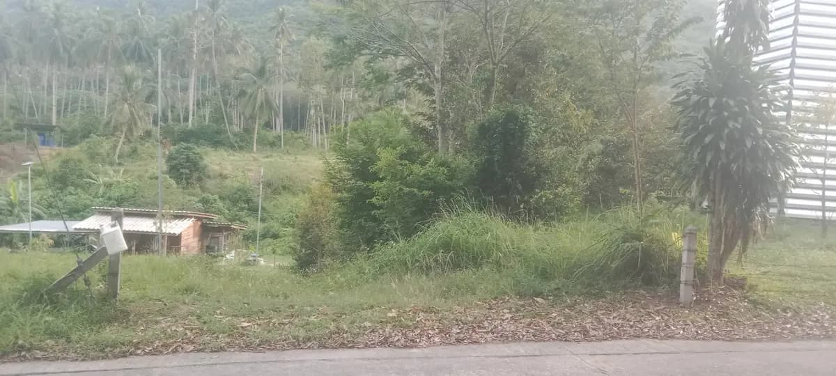 Sale Land 400 sqm Na Mueang 1 million Baht