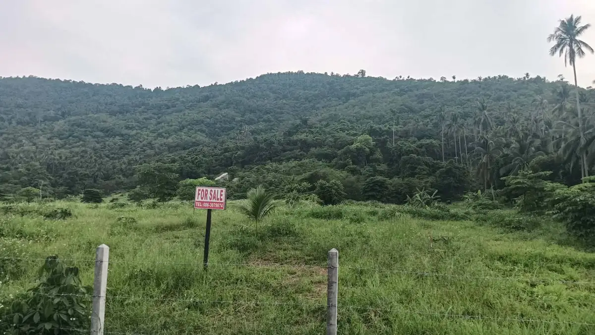 Sale Land 16000sqm Na Mueang 4.5 million Baht / 1600 sqm