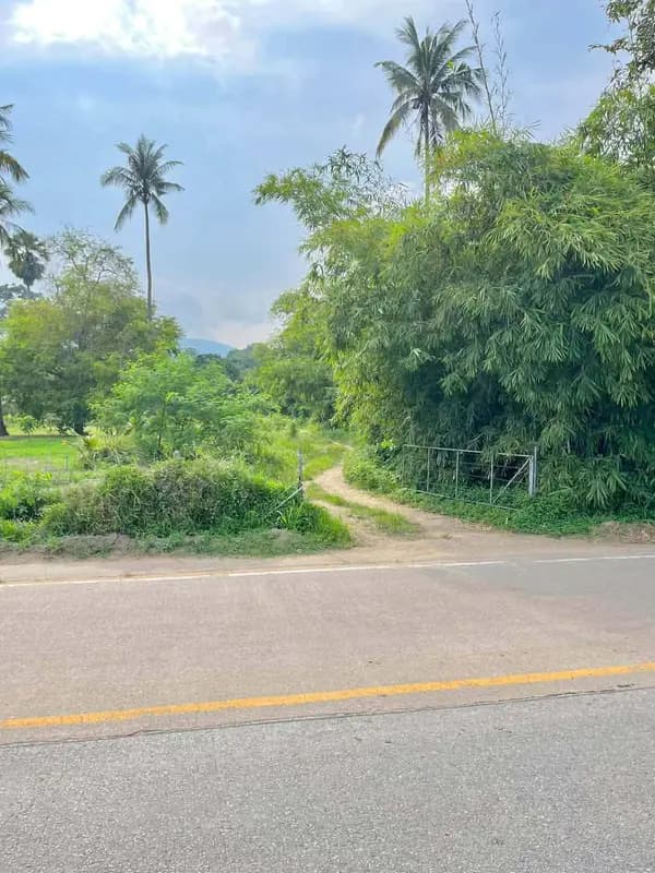 Sale Land 8000 sqm Na Mueang 8 million Baht