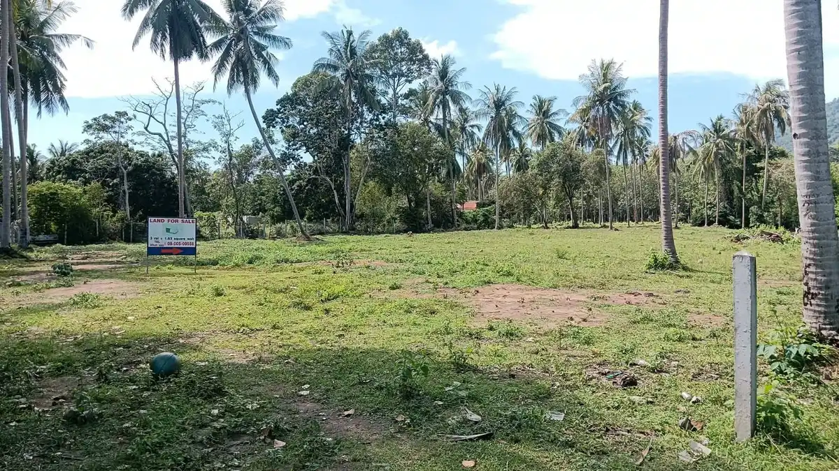 Sale Land 5452 sqm Lamai 6 million Baht / 1600 sqm