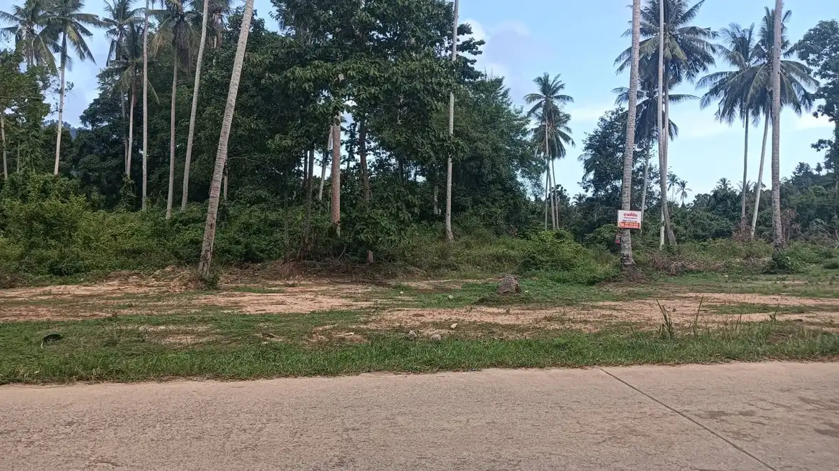 Sale Land 12000sqm Lamai 8 million Baht / 1600 sqm