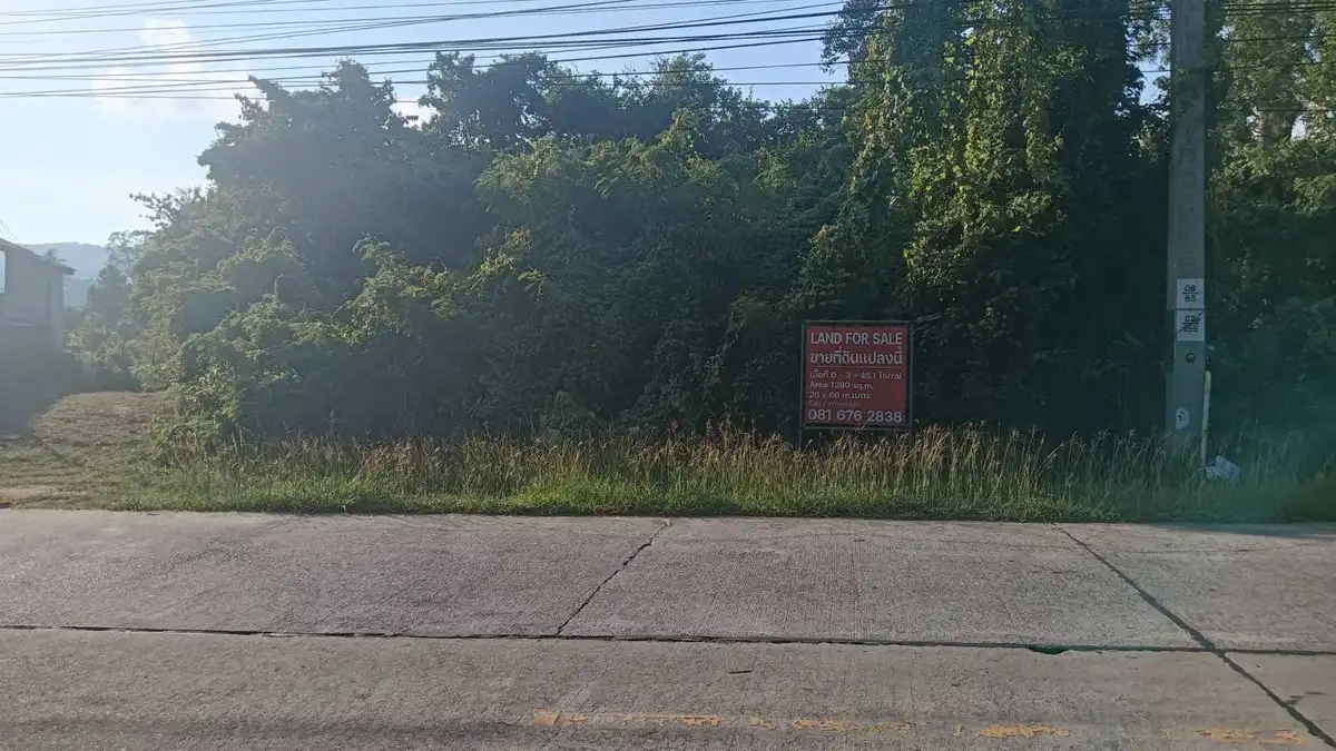 Sale Land 1380 sqm Na Mueang 4312500 Baht