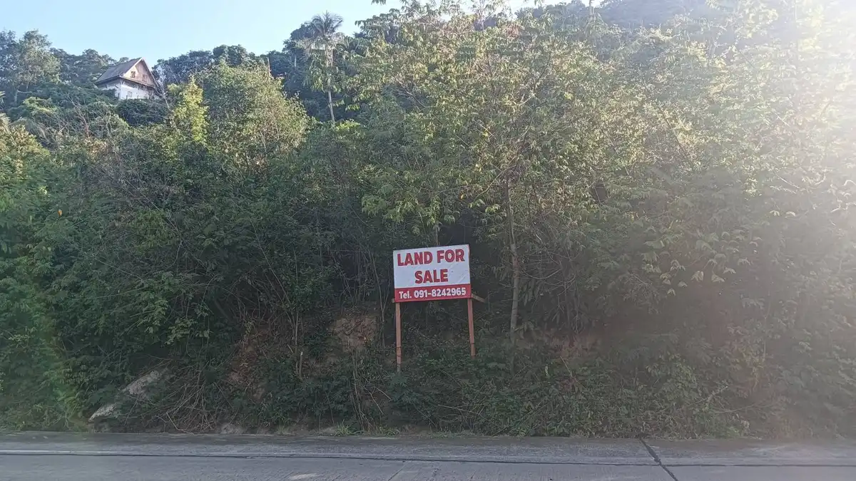 Sale Land 10400 sqm Na Mueang 12 million Baht
