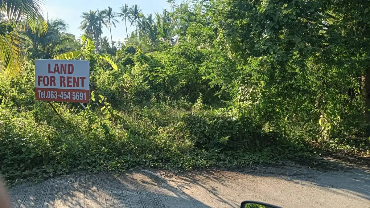 Land for rent 4400 sqm 50000 Baht Na Mueang 30 years