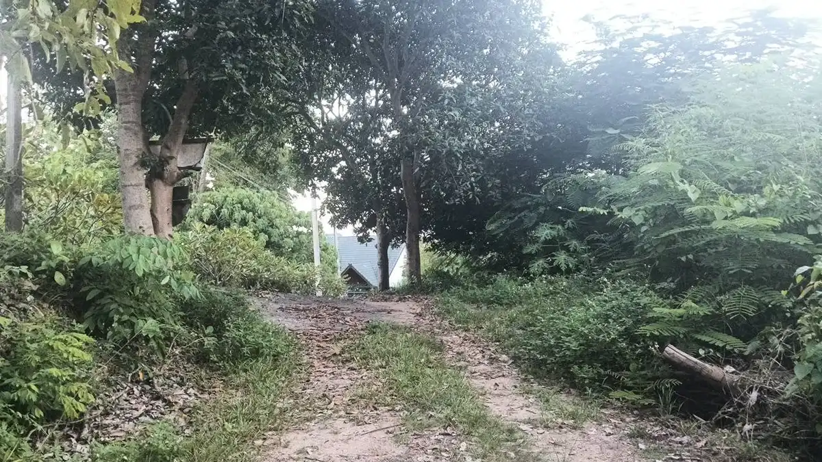 Sale Land 6800sqm Na Mueang 7 million Baht