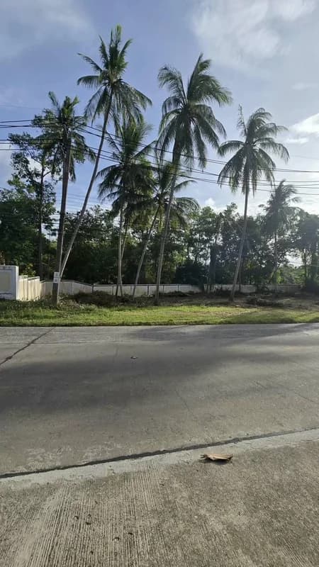 Land for rent 1072 sqm / 21000 Baht / month Na Mueang
