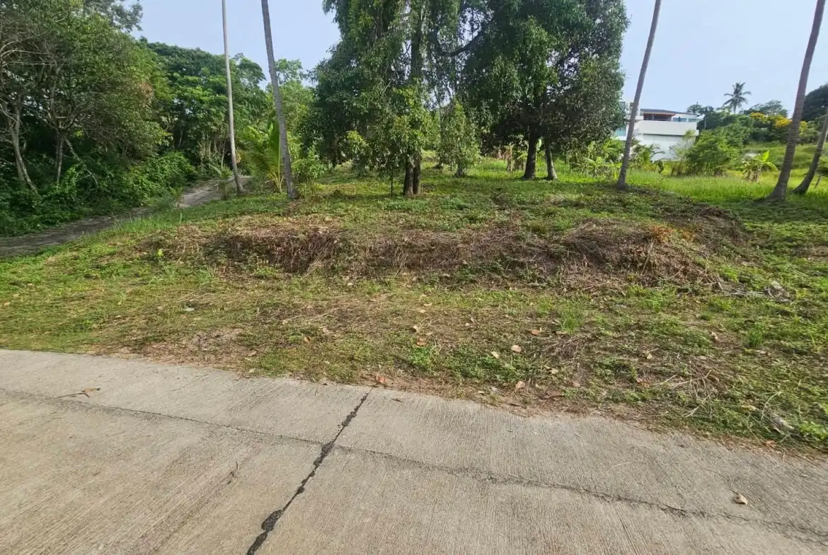 Nice Land for sale in Taling Ngam