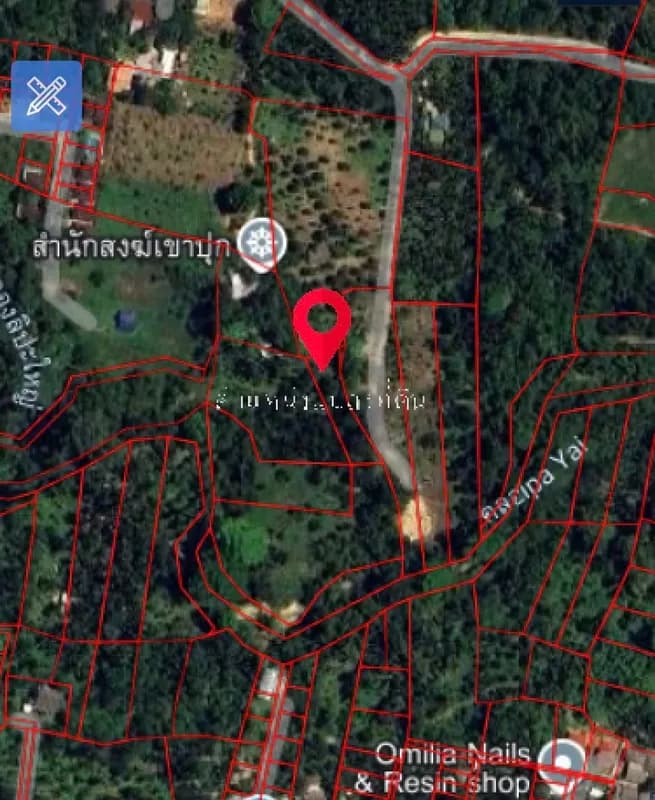 Garden Land for Sale with Durian & Longkong Trees – Koh Samui 🥥