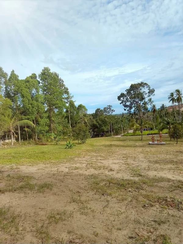 100 Sq.Wah Mountain-View Land for Sale