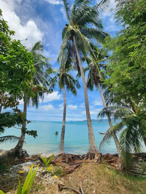 Beachfront land inLipa Noi for sale