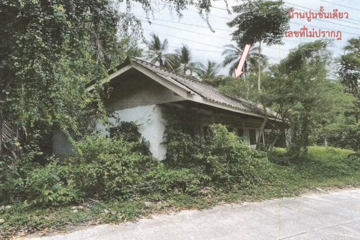 Auction Land Ang Thong 148 sqm mountain view
