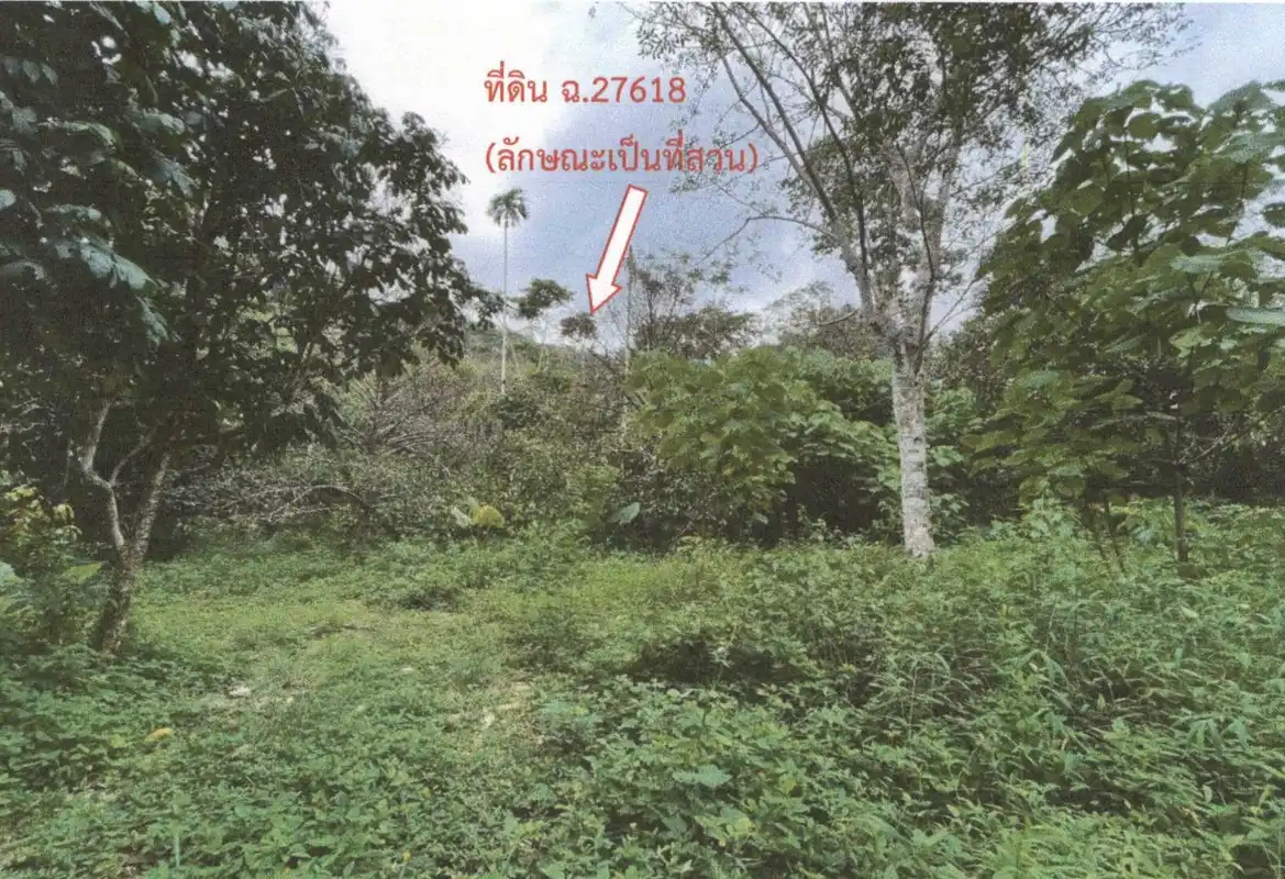 Auction Land Ang Thong 5101 sqm mountain view