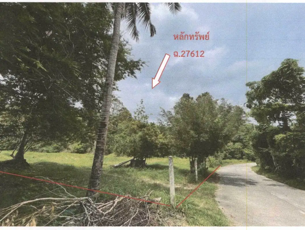 Auction Land Ang Thong 6532 sqm mountain view