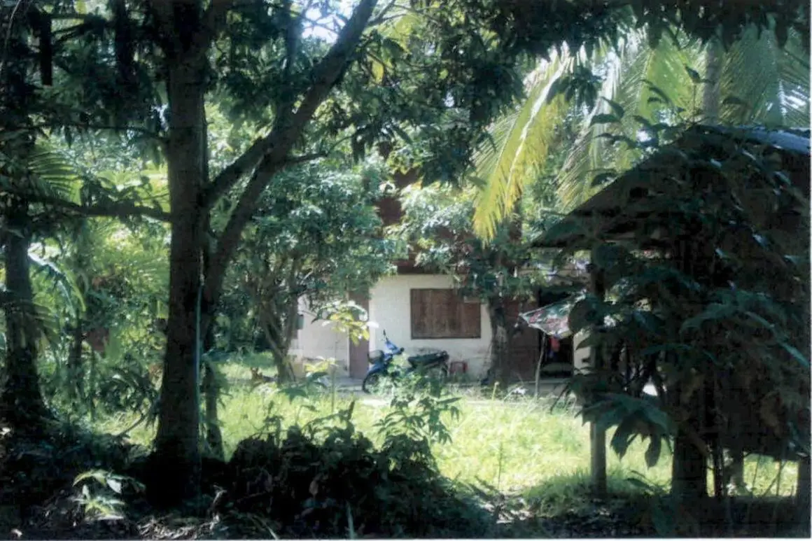Auction house Lipa Noi 108 sqm