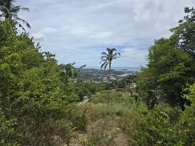 Sunset Beach View