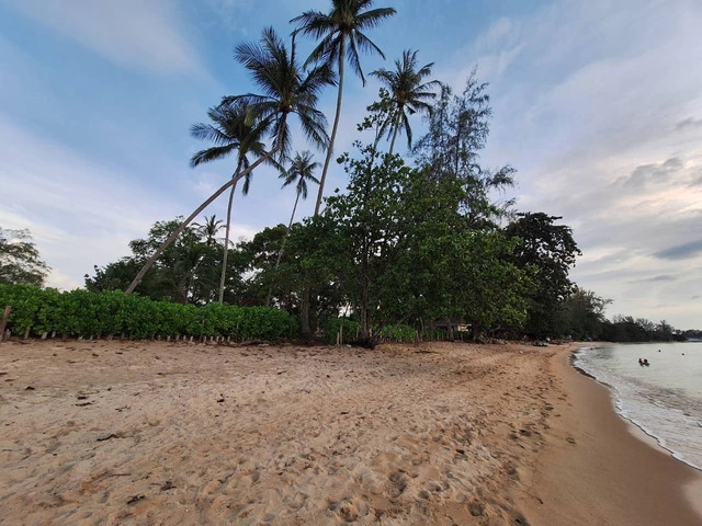 Ocean View