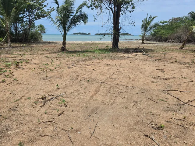 Beach Plot View